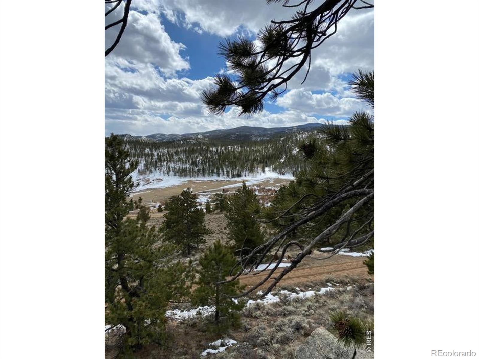 215 Murdock Drive Red Feather Lakes CO 80545