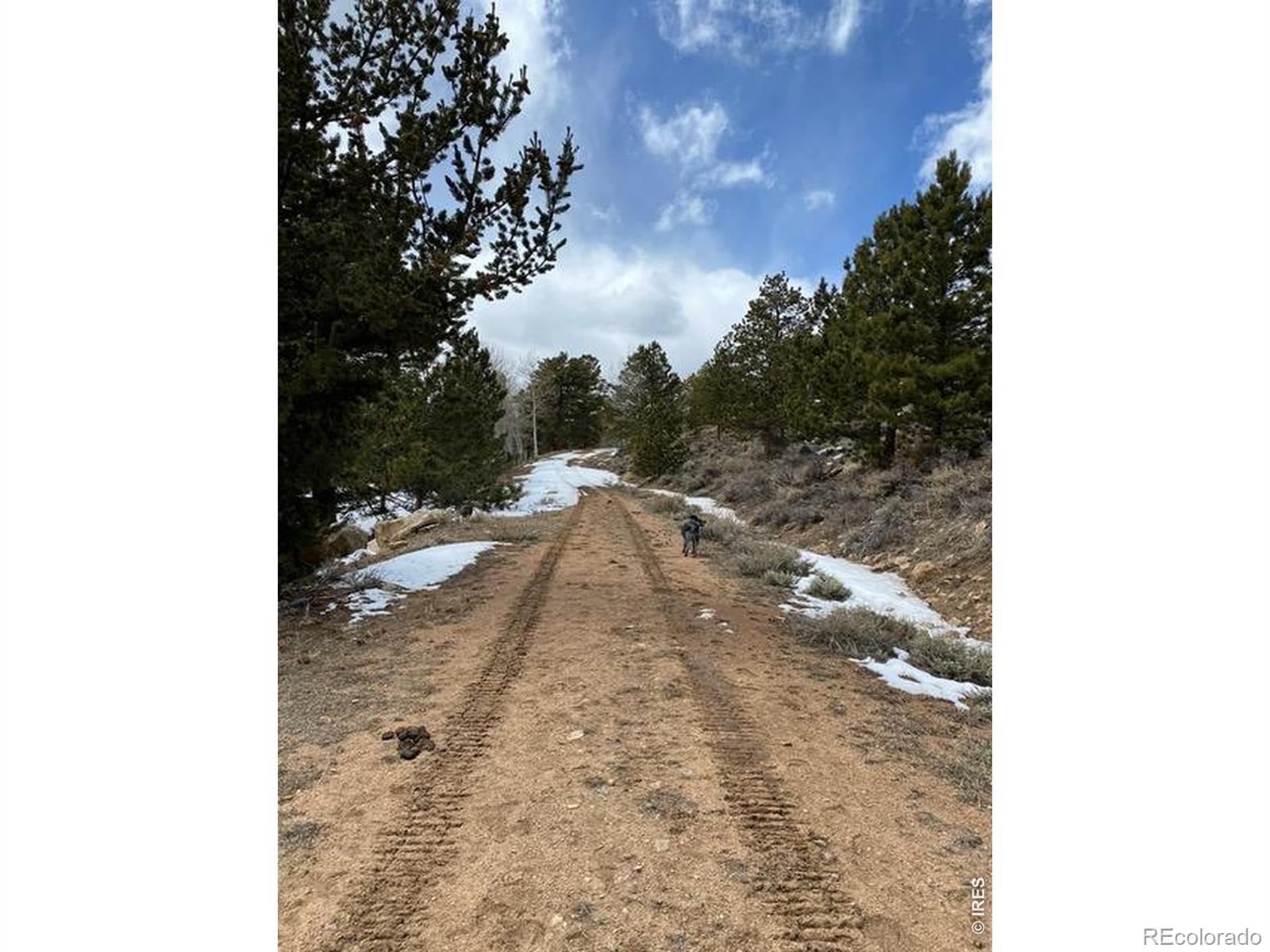 215 Murdock Drive Red Feather Lakes CO 80545