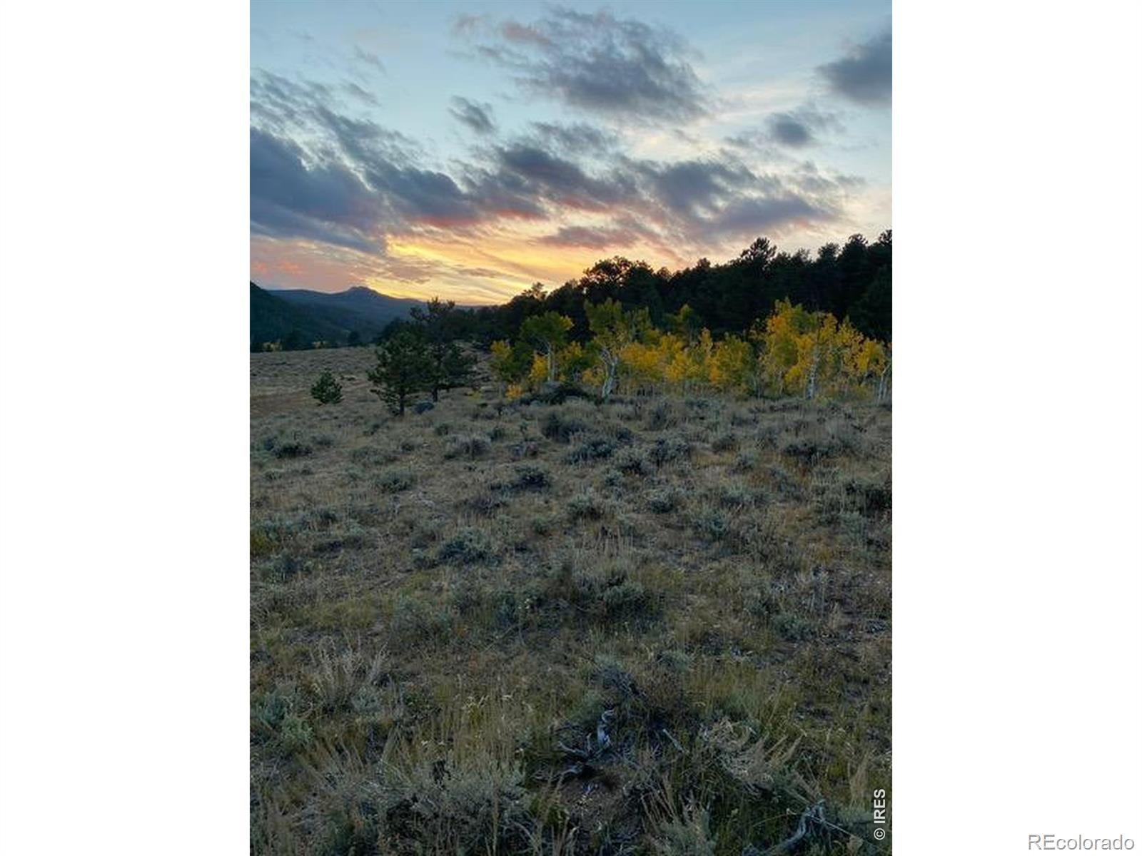 215 Murdock Drive Red Feather Lakes CO 80545