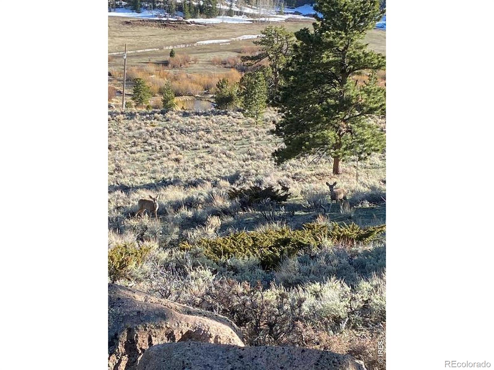 215 Murdock Drive Red Feather Lakes CO 80545