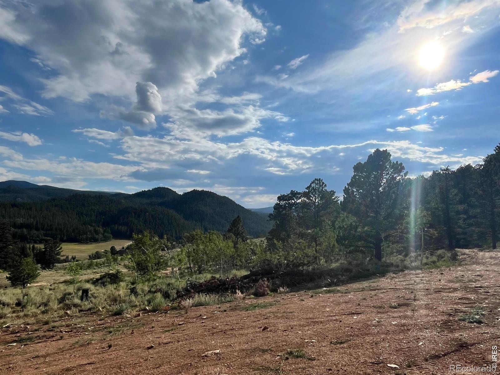 215 Murdock Drive Red Feather Lakes CO 80545