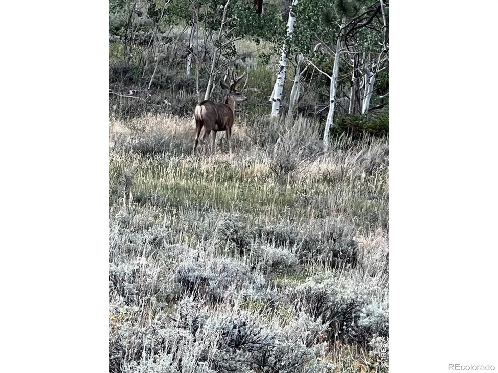 215 Murdock Drive Red Feather Lakes CO 80545