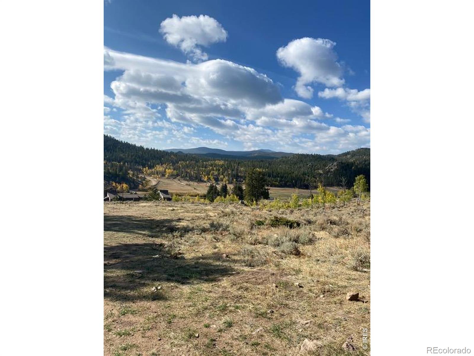 215 Murdock Drive Red Feather Lakes CO 80545