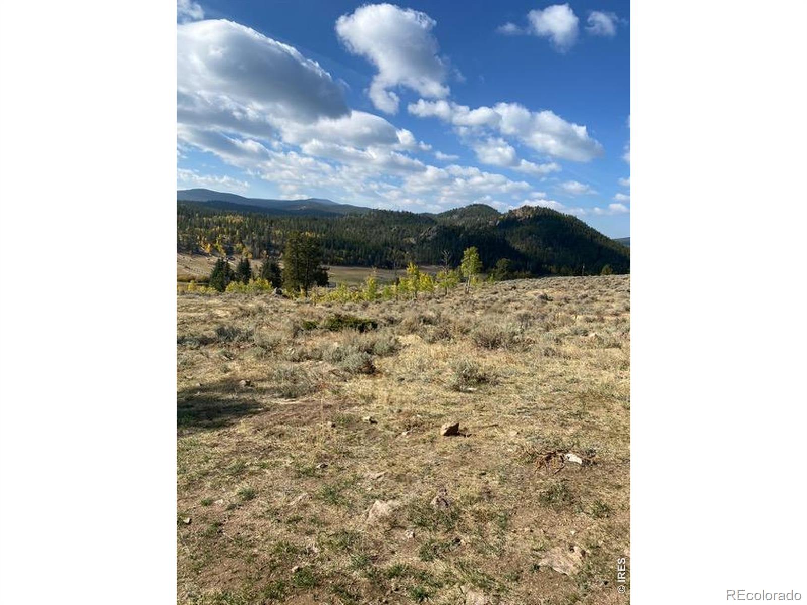 215 Murdock Drive Red Feather Lakes CO 80545