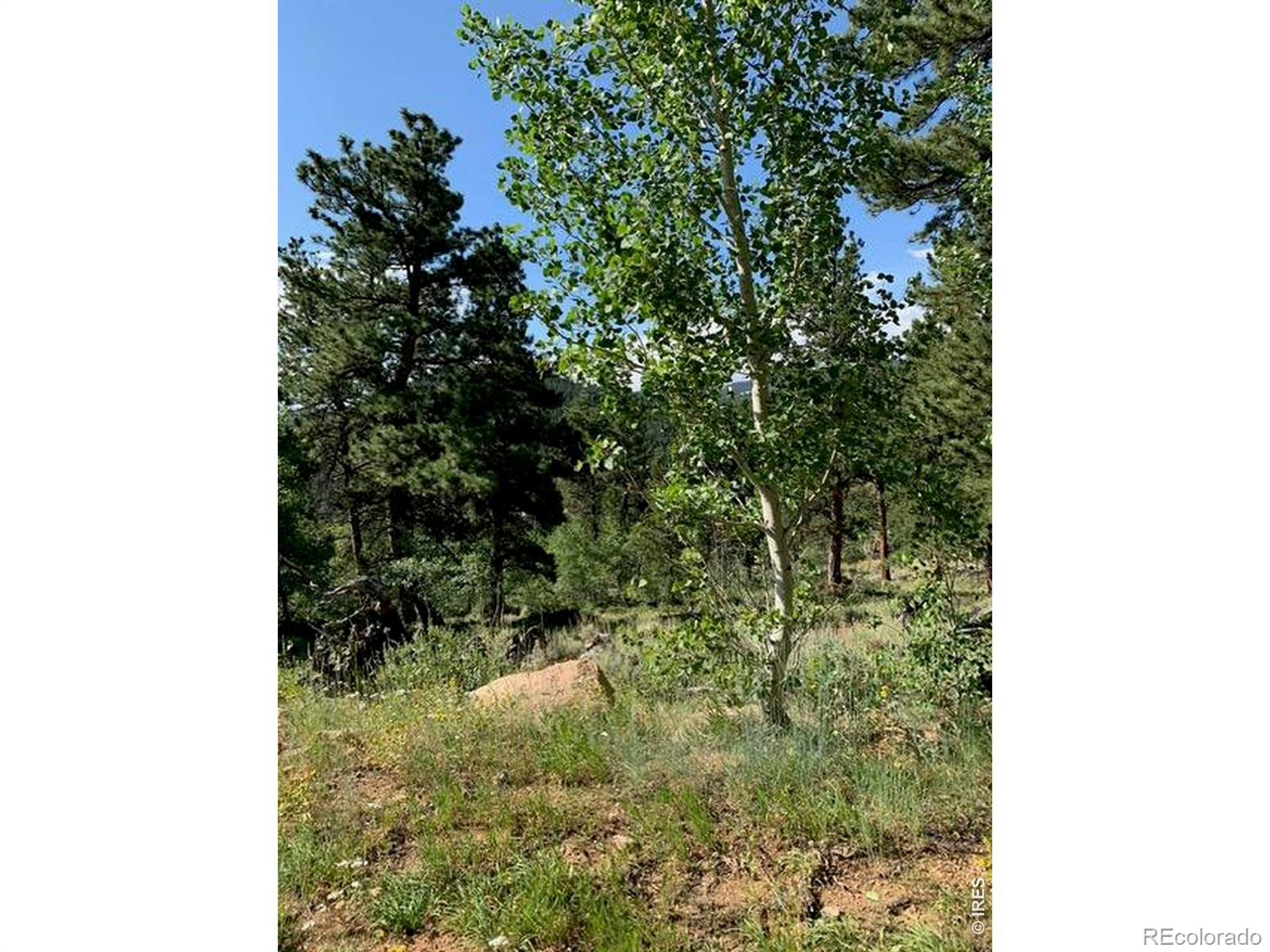215 Murdock Drive Red Feather Lakes CO 80545