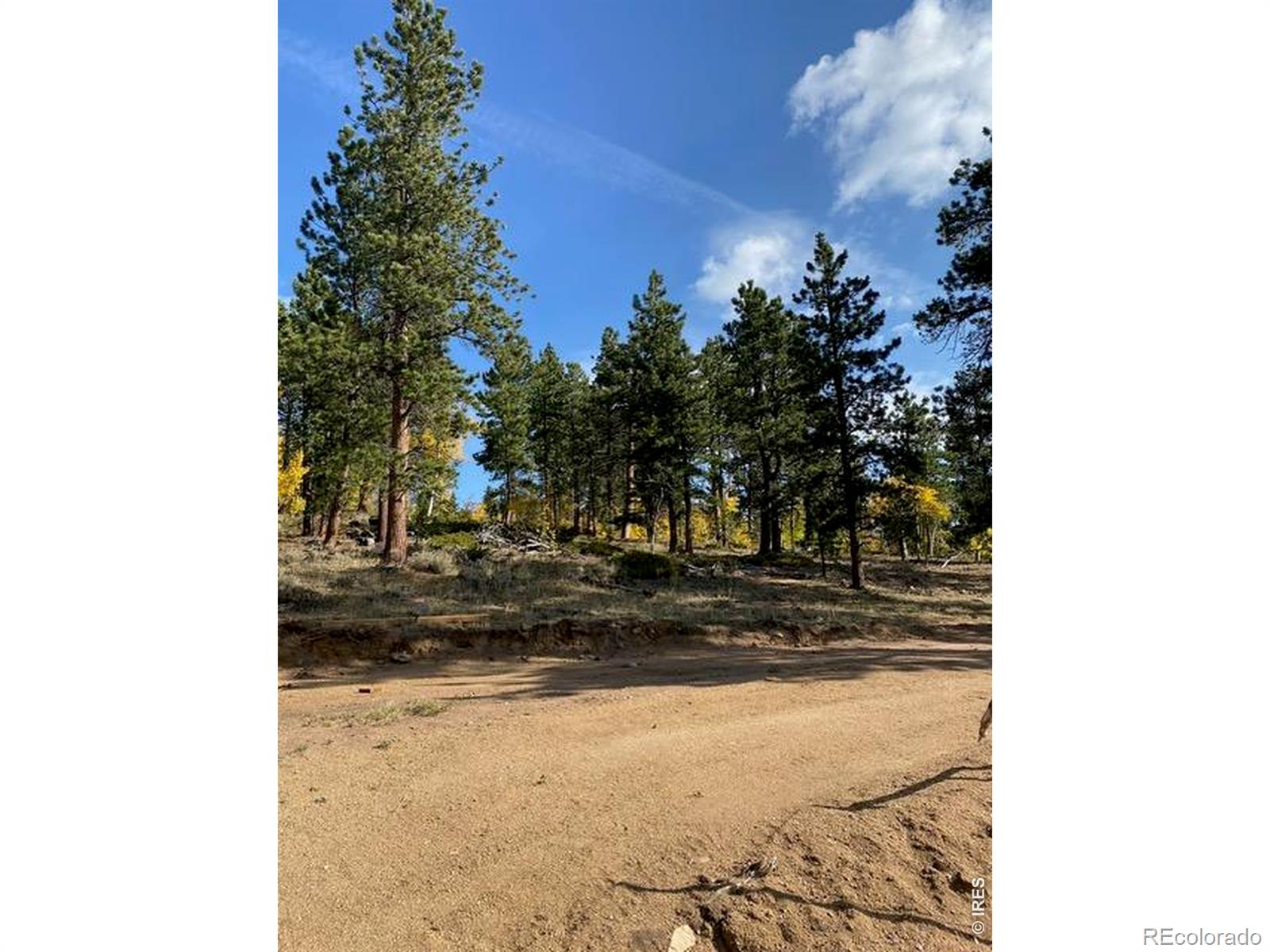 215 Murdock Drive Red Feather Lakes CO 80545