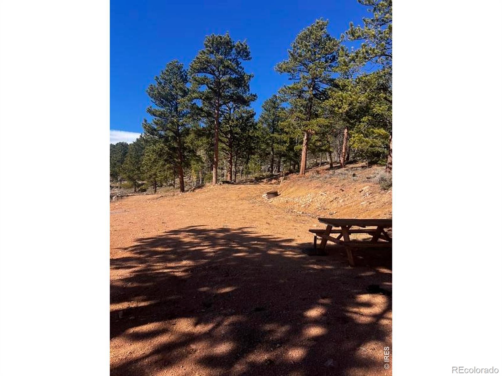 215 Murdock Drive Red Feather Lakes CO 80545