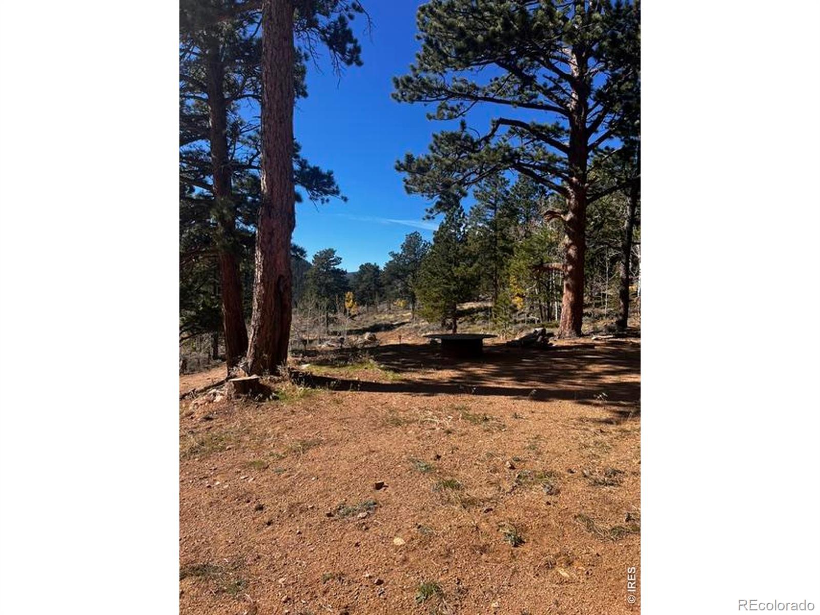 215 Murdock Drive Red Feather Lakes CO 80545