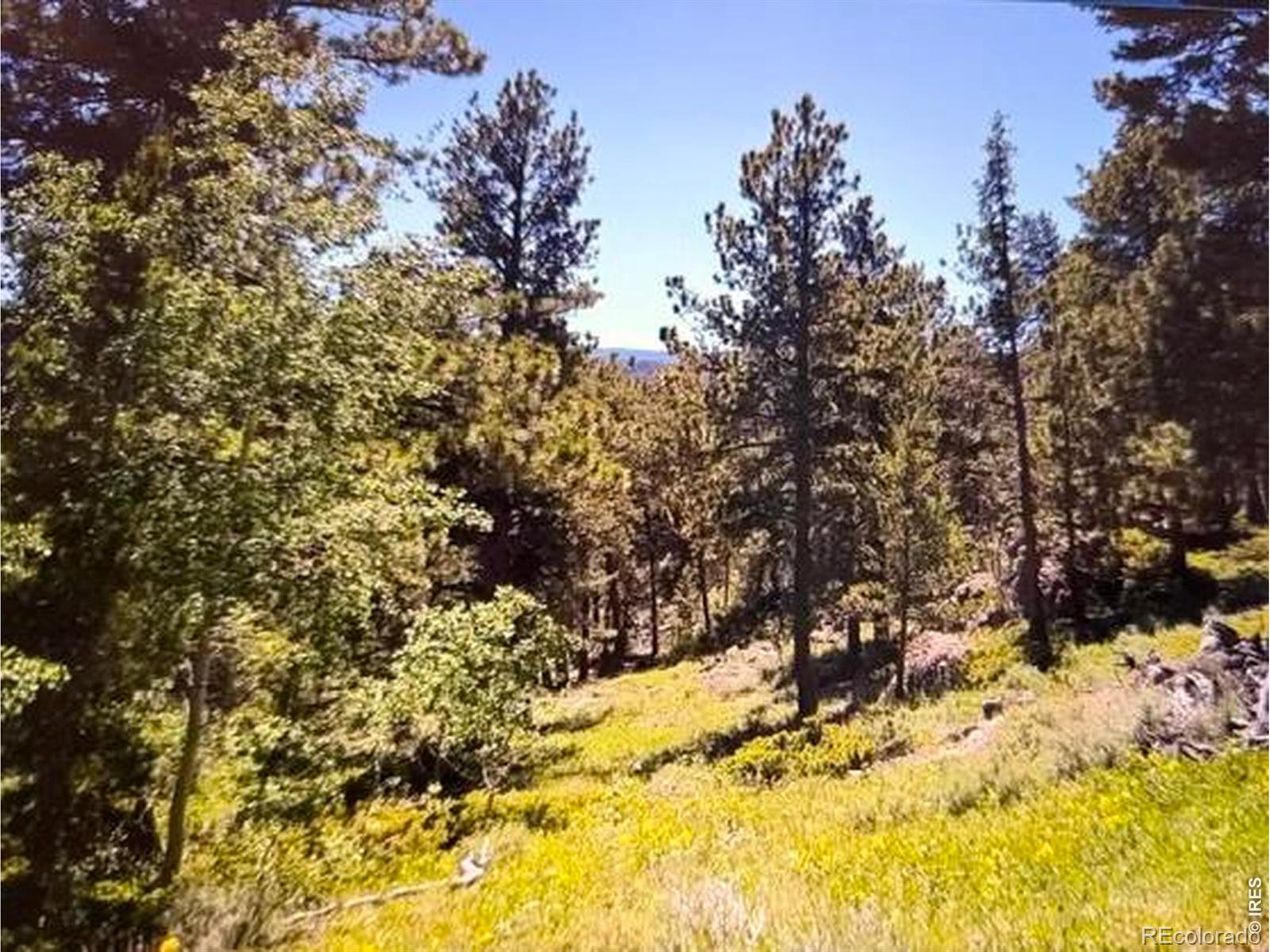 215 Murdock Drive Red Feather Lakes CO 80545