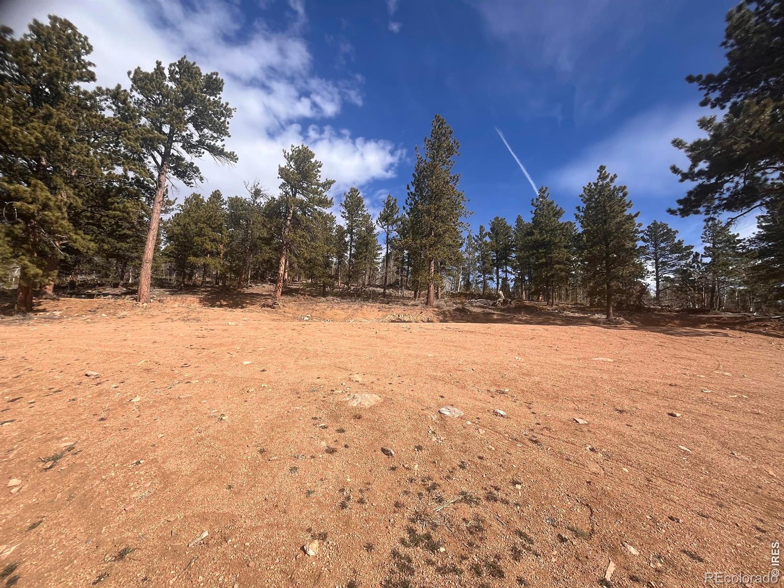 215 Murdock Drive Red Feather Lakes CO 80545