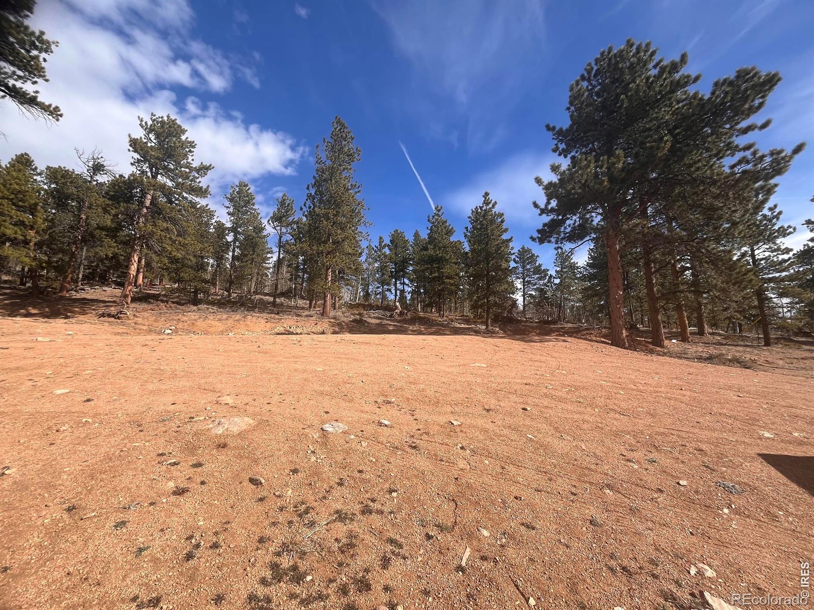 215 Murdock Drive Red Feather Lakes CO 80545