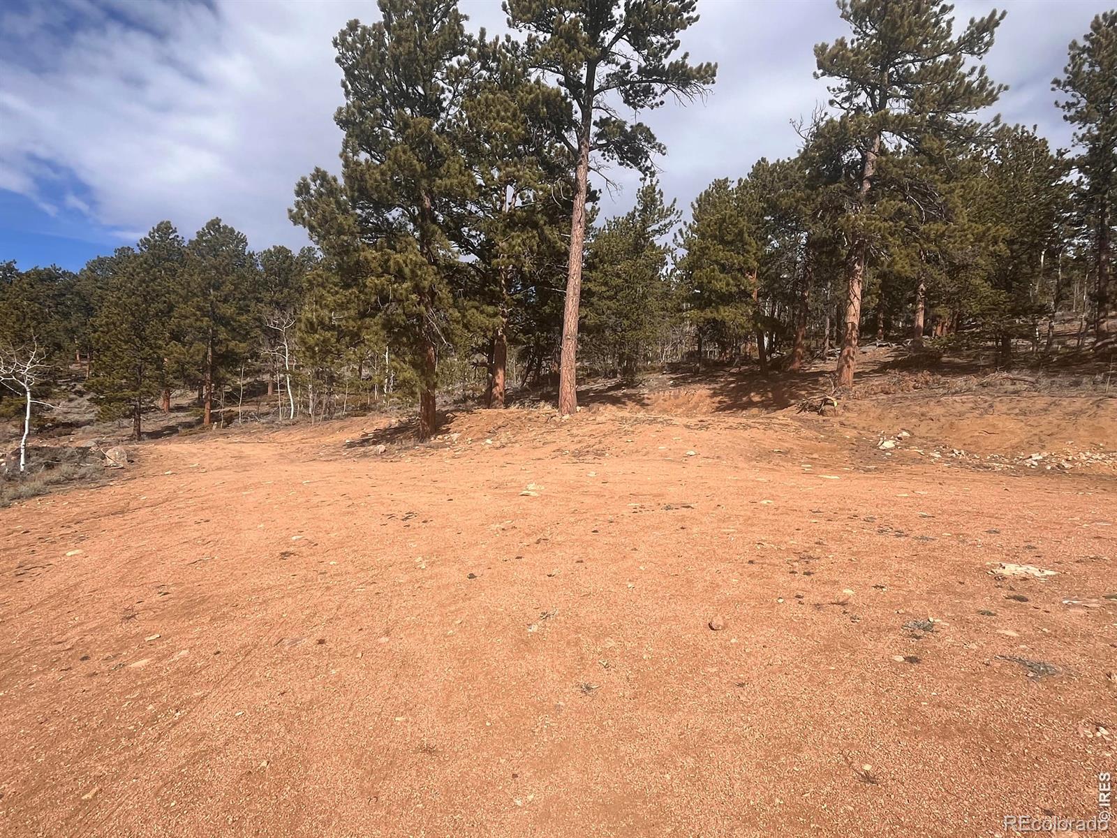 215 Murdock Drive Red Feather Lakes CO 80545
