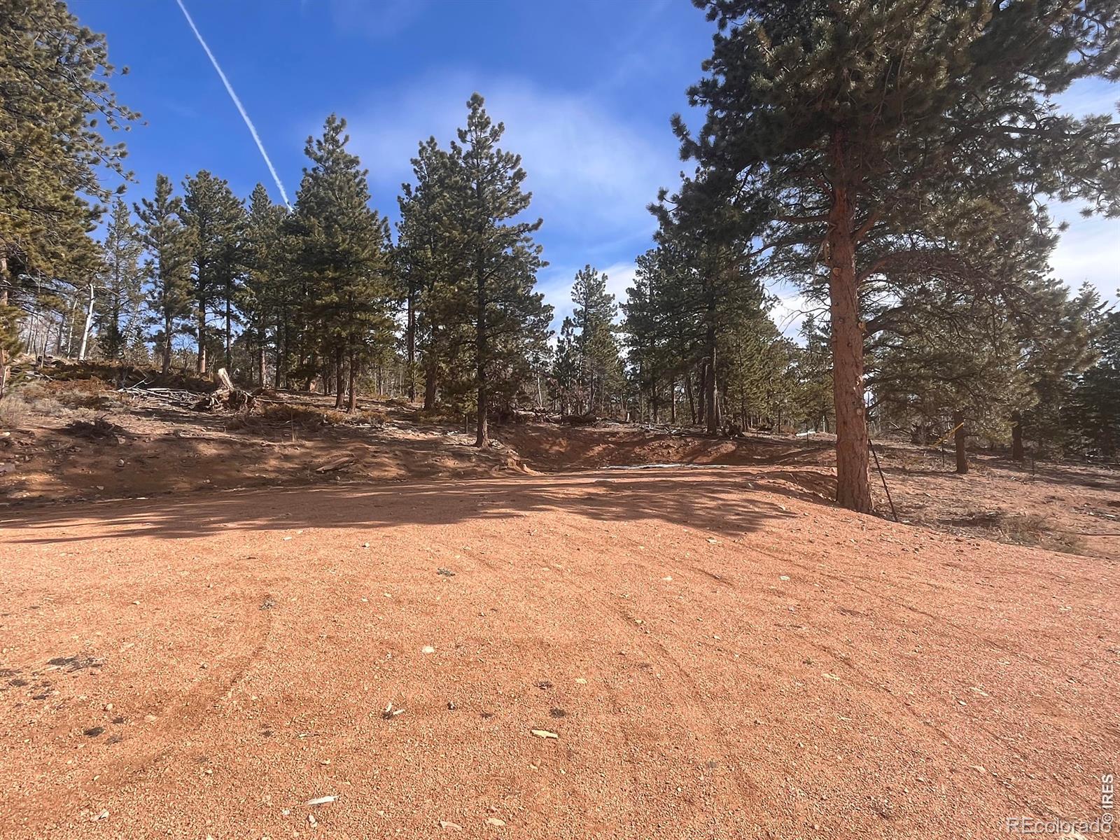 215 Murdock Drive Red Feather Lakes CO 80545