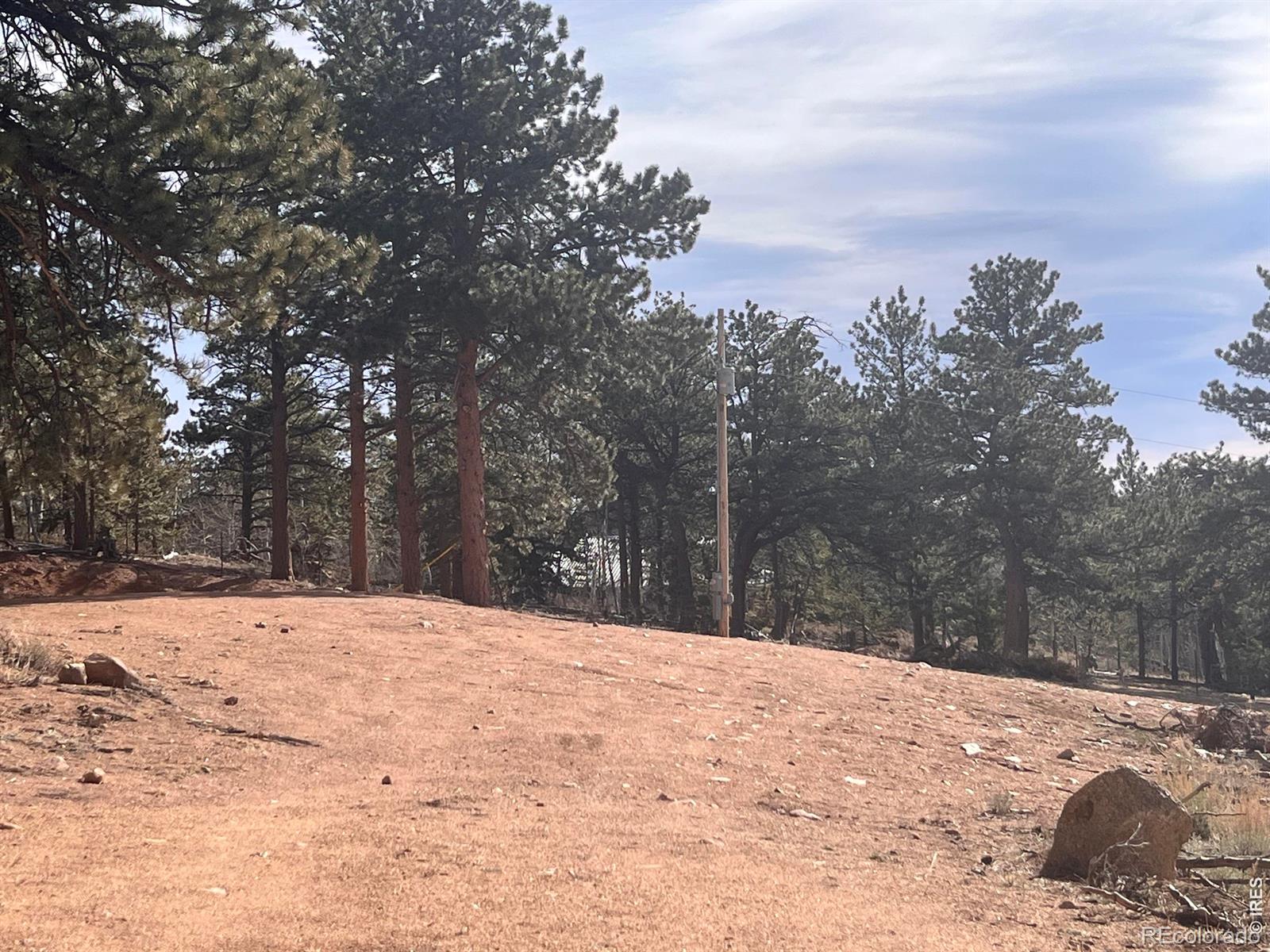 215 Murdock Drive Red Feather Lakes CO 80545