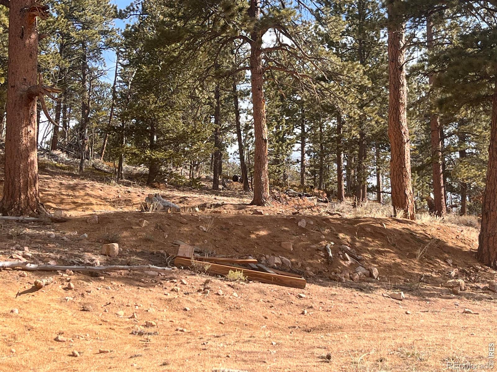 215 Murdock Drive Red Feather Lakes CO 80545