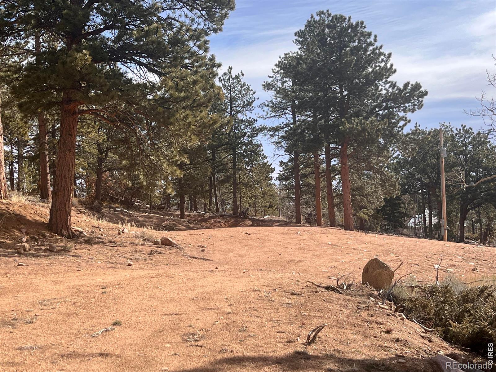 215 Murdock Drive Red Feather Lakes CO 80545