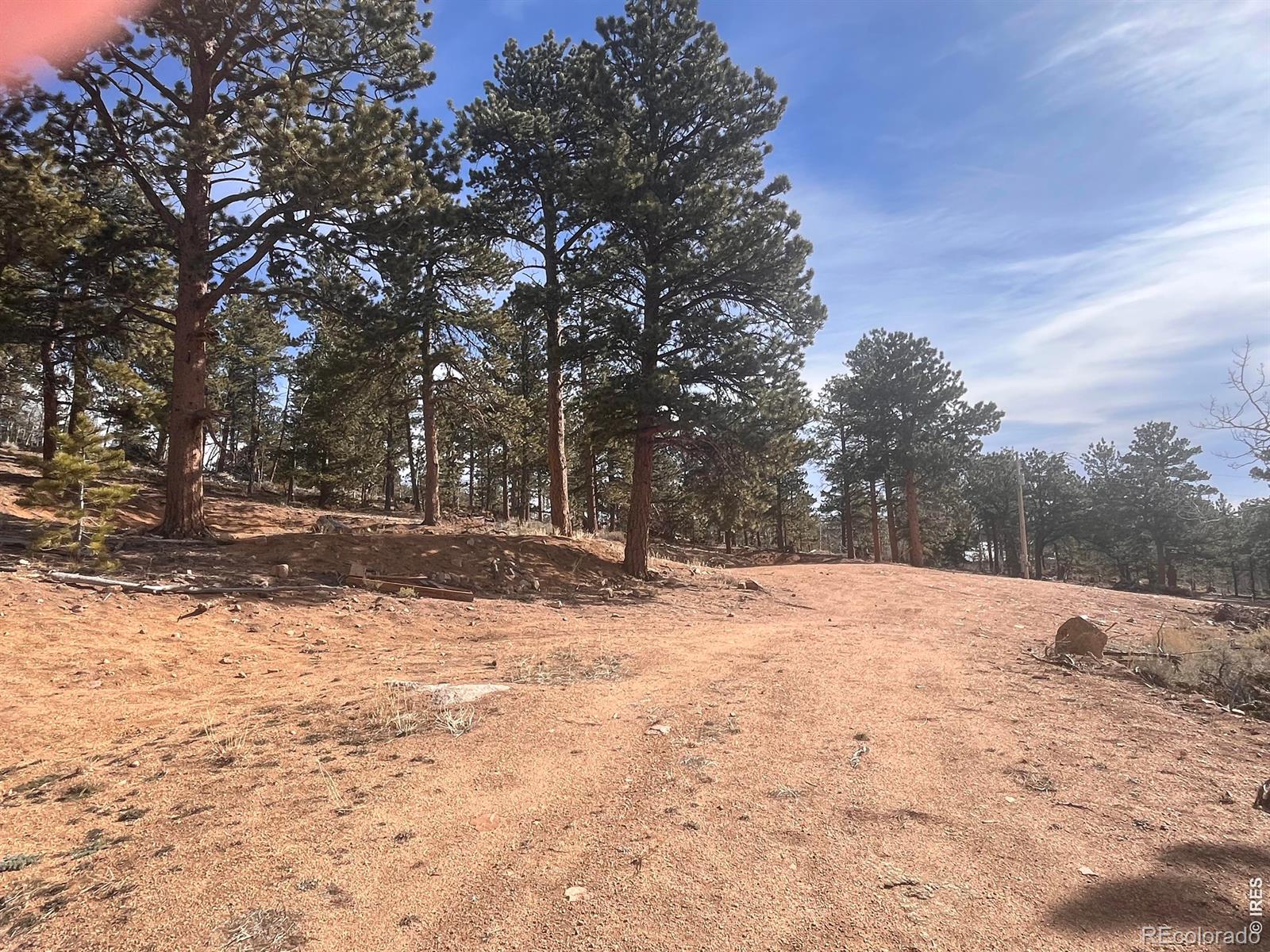 215 Murdock Drive Red Feather Lakes CO 80545