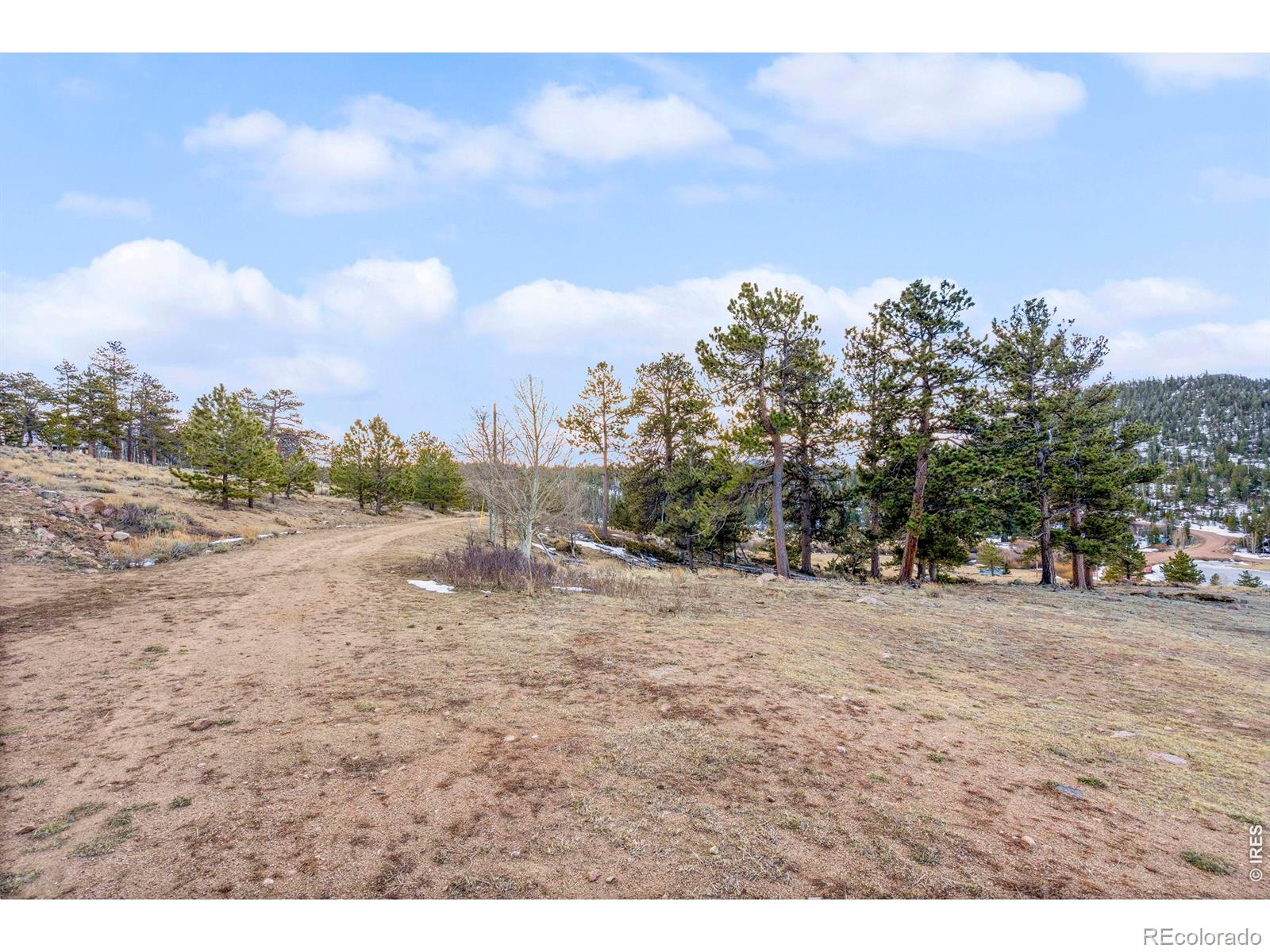 215 Murdock Drive Red Feather Lakes CO 80545
