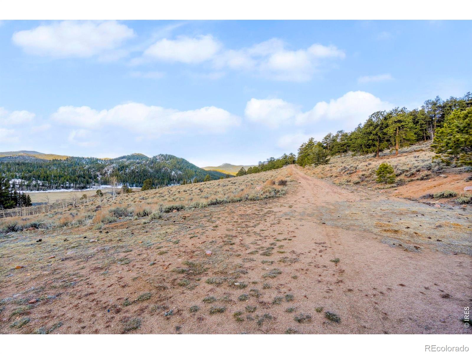 215 Murdock Drive Red Feather Lakes CO 80545