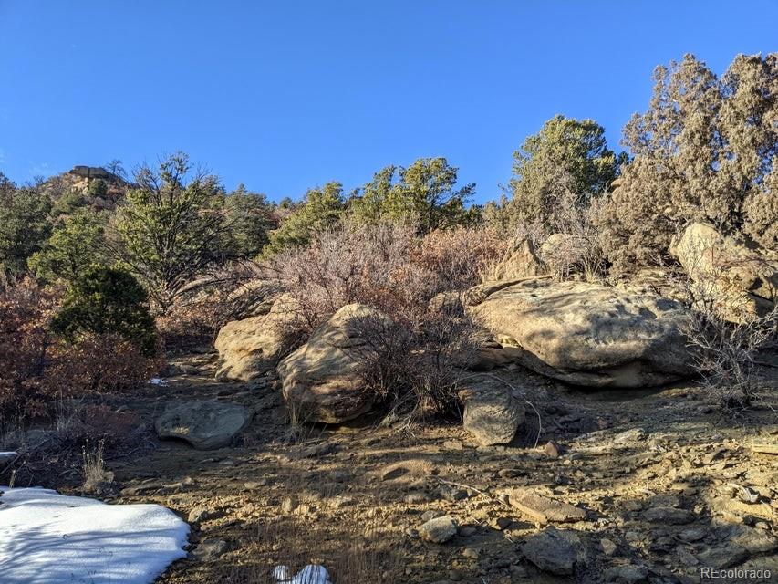 Rancho La Garita Lot 175 Weston CO 81091