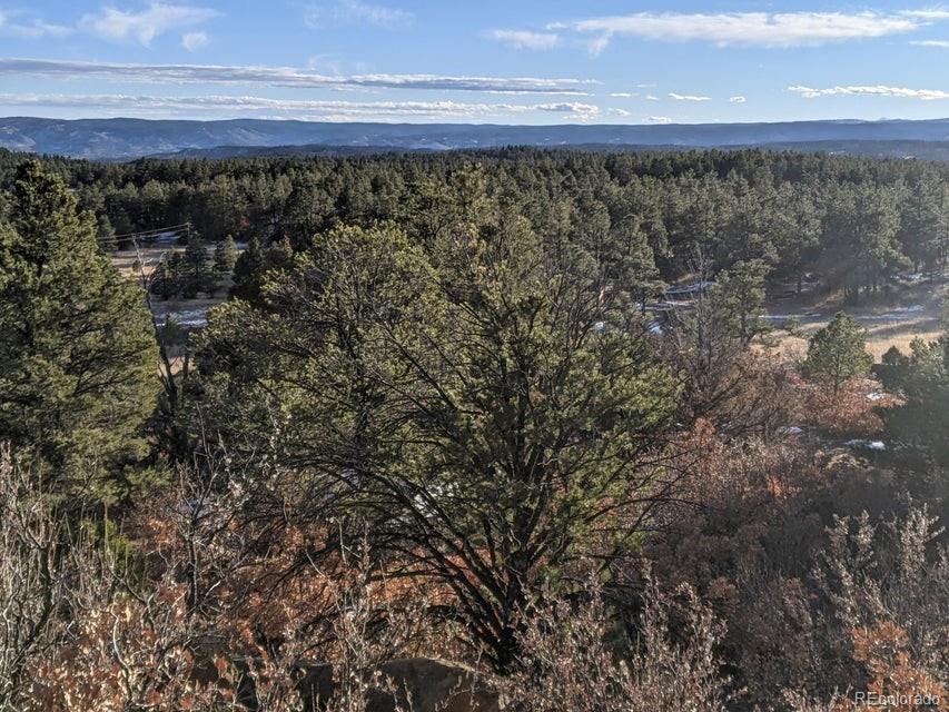 Rancho La Garita Lot 175 Weston CO 81091