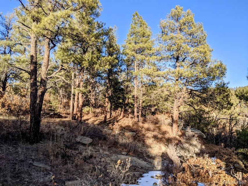 Rancho La Garita Lot 175 Weston CO 81091