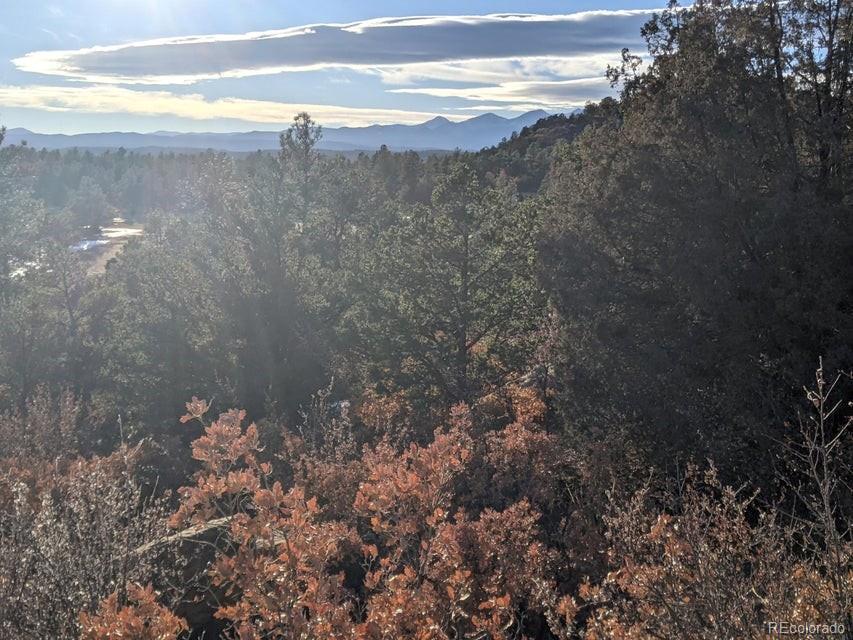 Rancho La Garita Lot 175 Weston CO 81091