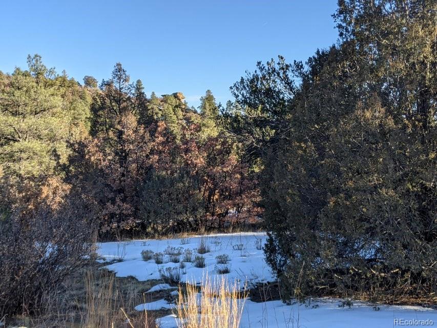 Rancho La Garita Lot 175 Weston CO 81091