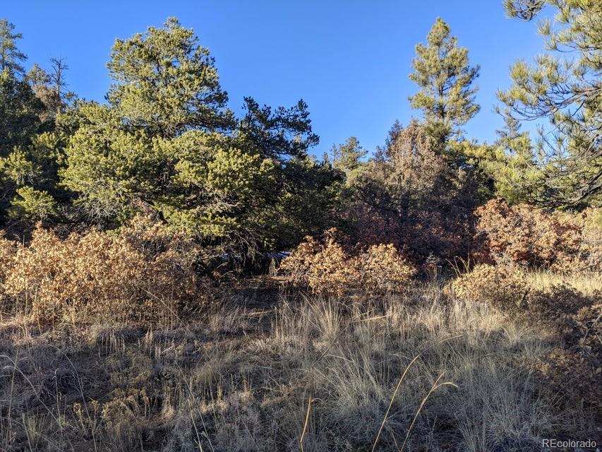 Rancho La Garita Lot 175 Weston CO 81091