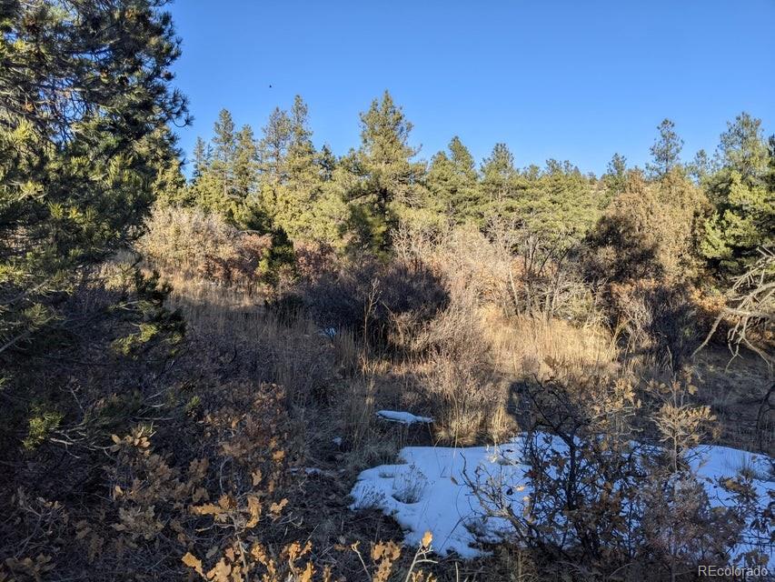 Rancho La Garita Lot 175 Weston CO 81091