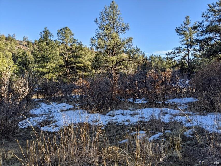Rancho La Garita Lot 175 Weston CO 81091