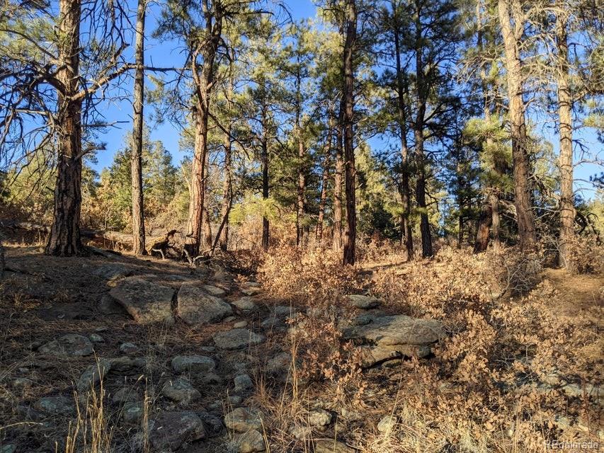 Rancho La Garita Lot 175 Weston CO 81091