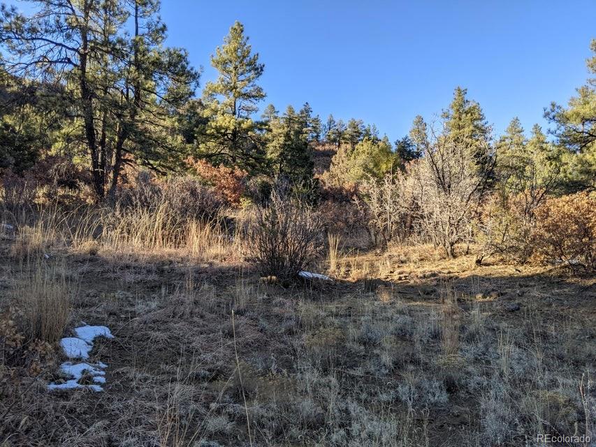 Rancho La Garita Lot 175 Weston CO 81091