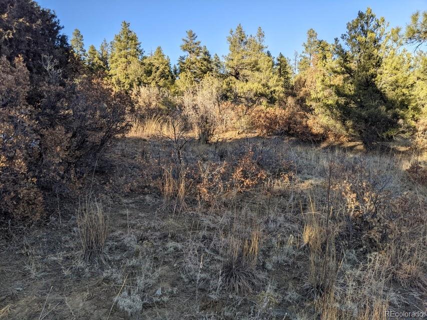 Rancho La Garita Lot 175 Weston CO 81091