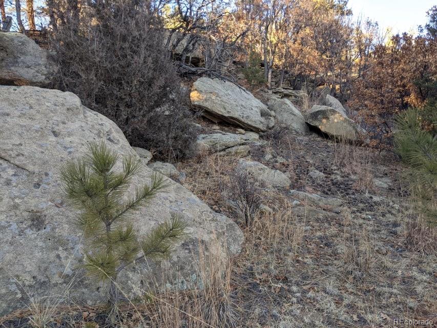 Rancho La Garita Lot 175 Weston CO 81091