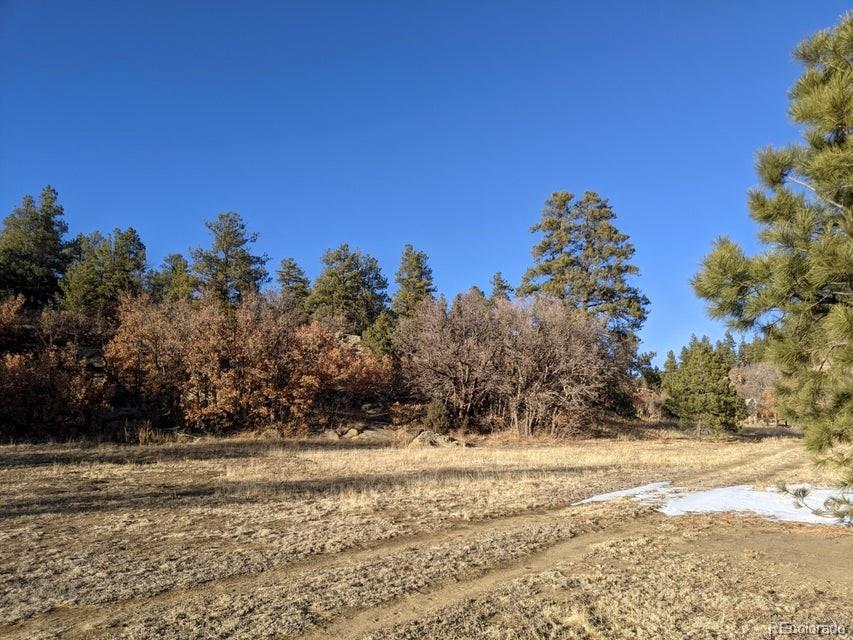 Rancho La Garita Lot 175 Weston CO 81091