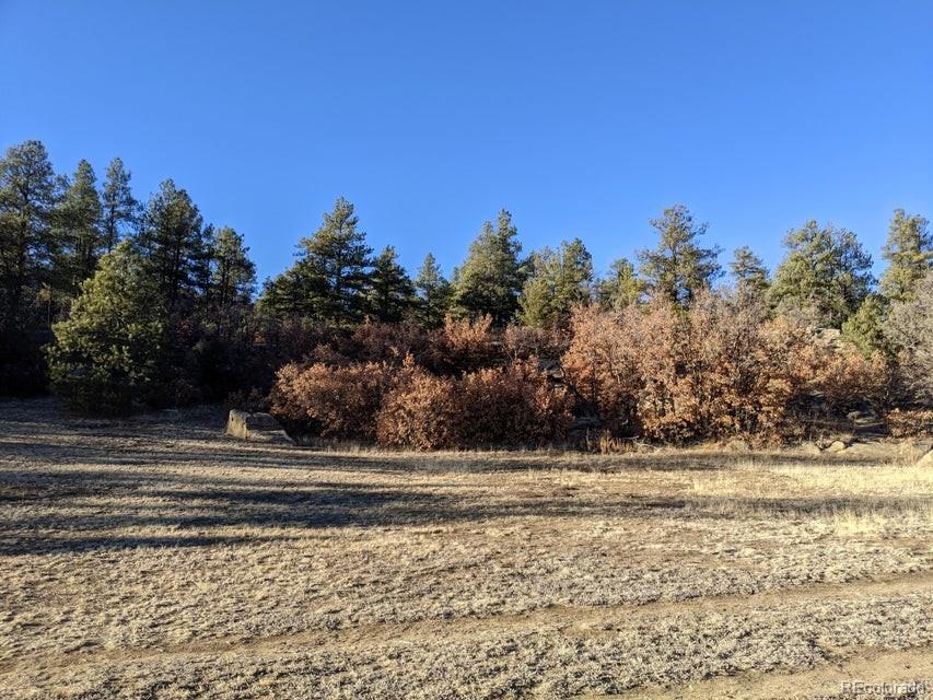 Rancho La Garita Lot 175 Weston CO 81091