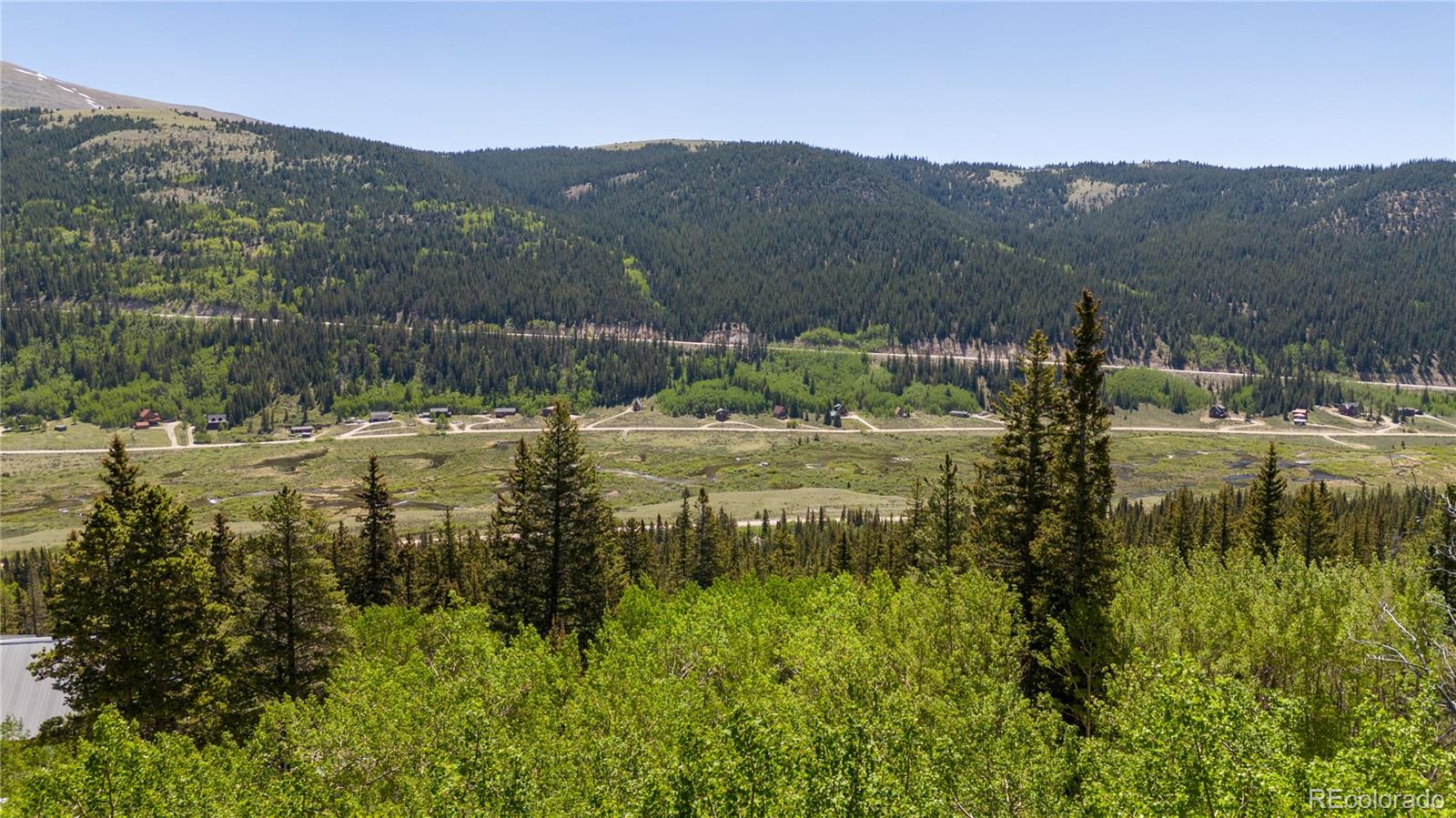 1255 Quartzville Road Fairplay CO 80440