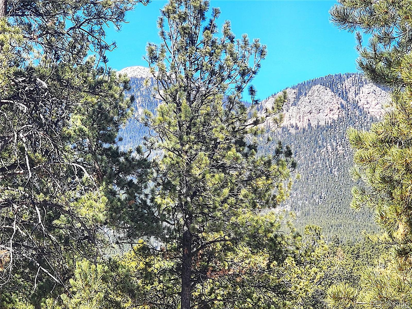 116 Neal Street Bailey CO 80421