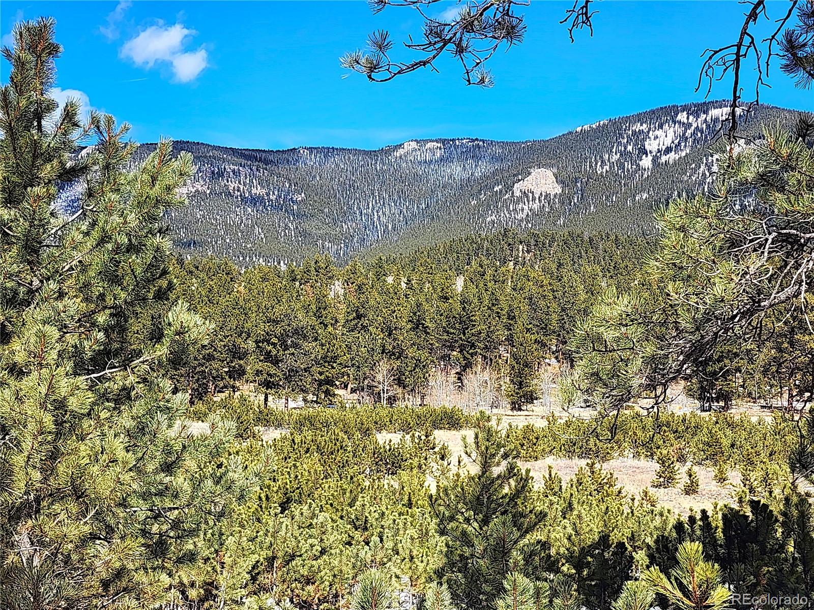 116 Neal Street Bailey CO 80421