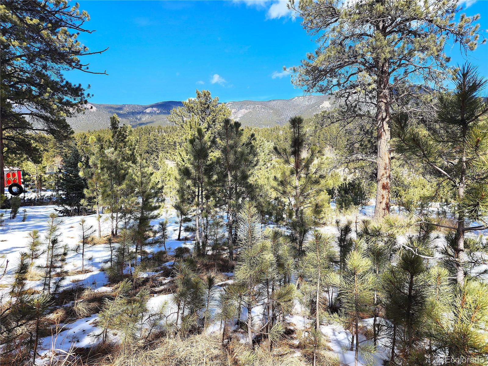 116 Neal Street Bailey CO 80421