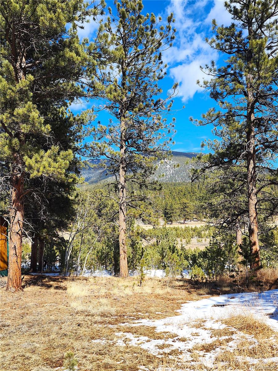 116 Neal Street Bailey CO 80421