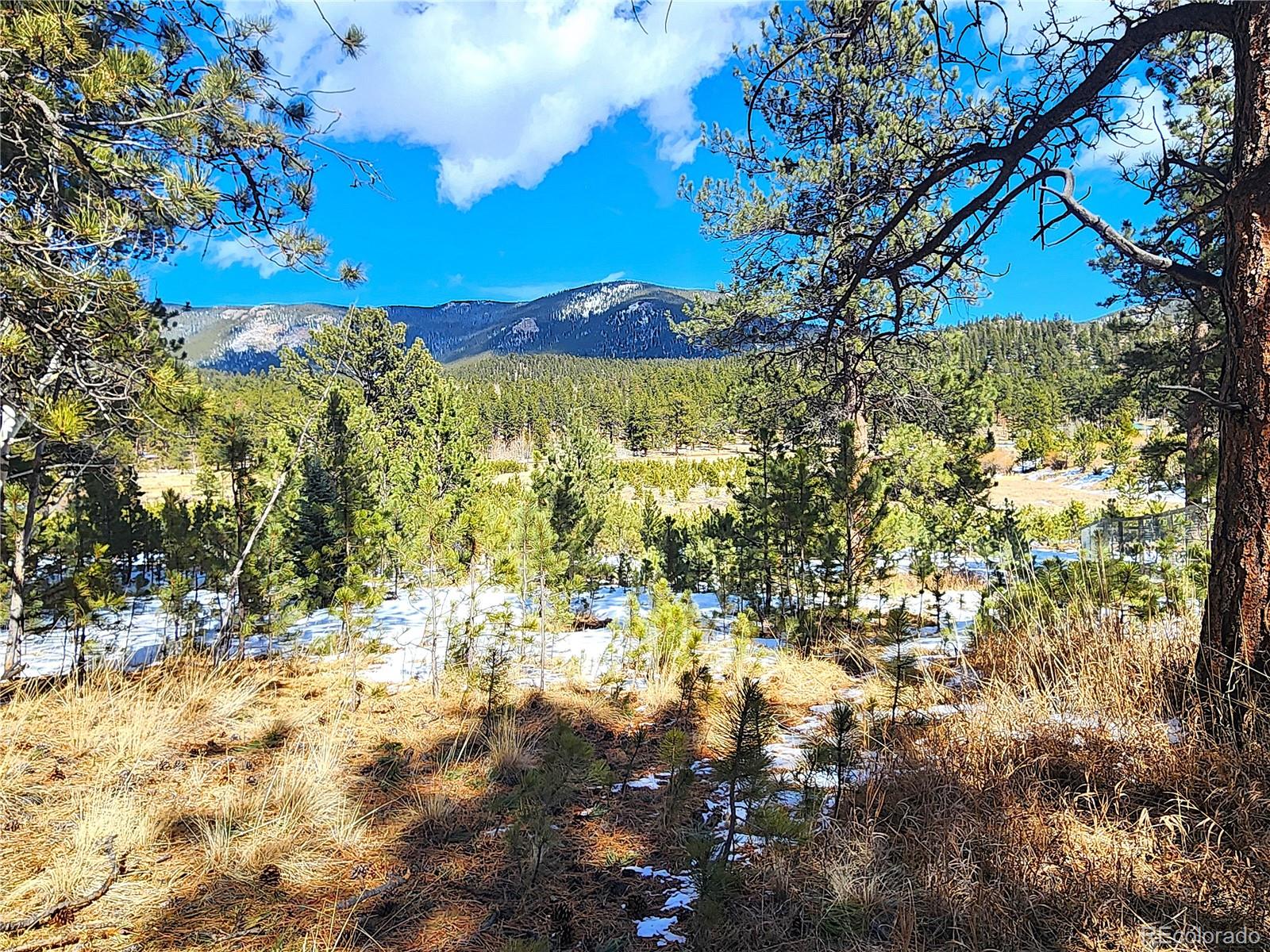 116 Neal Street Bailey CO 80421
