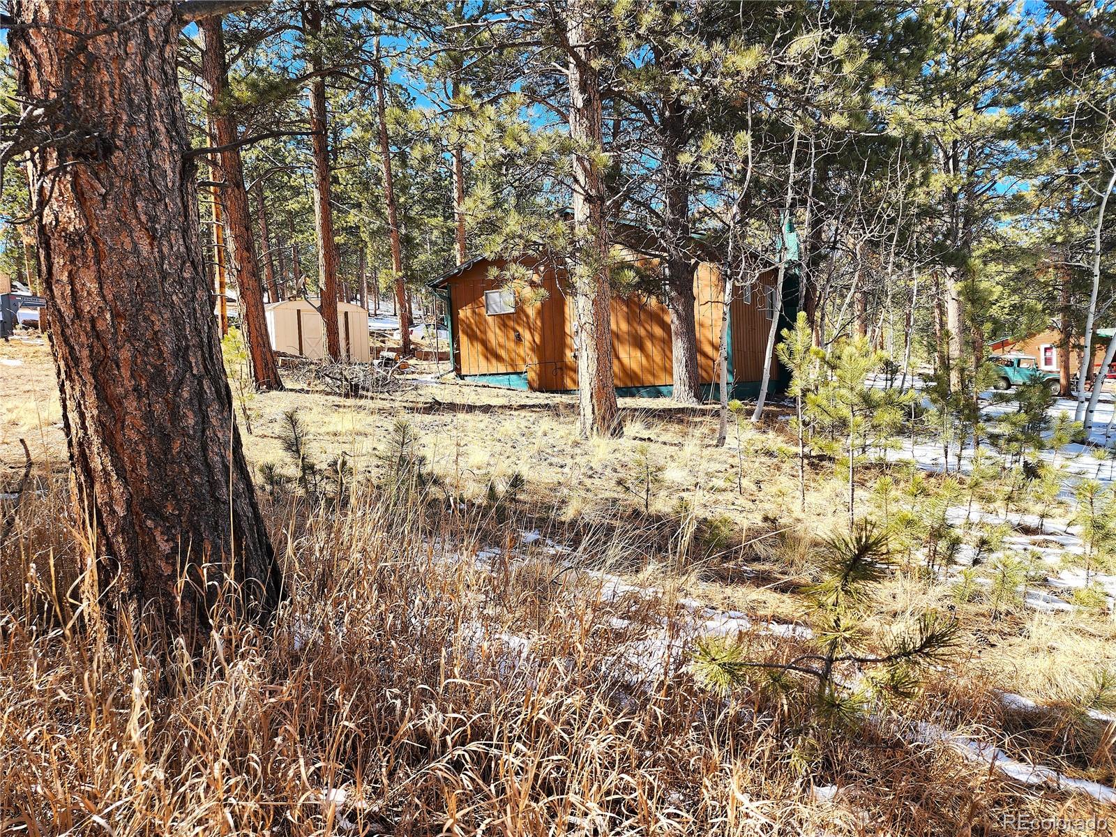 116 Neal Street Bailey CO 80421