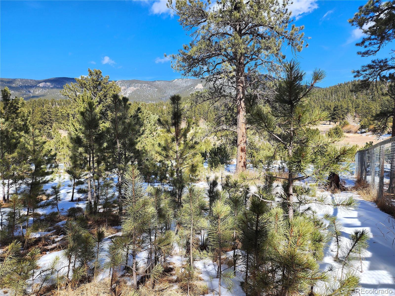 116 Neal Street Bailey CO 80421