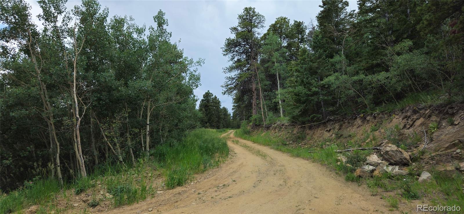 8077 Drew Hill Road Golden CO 80403