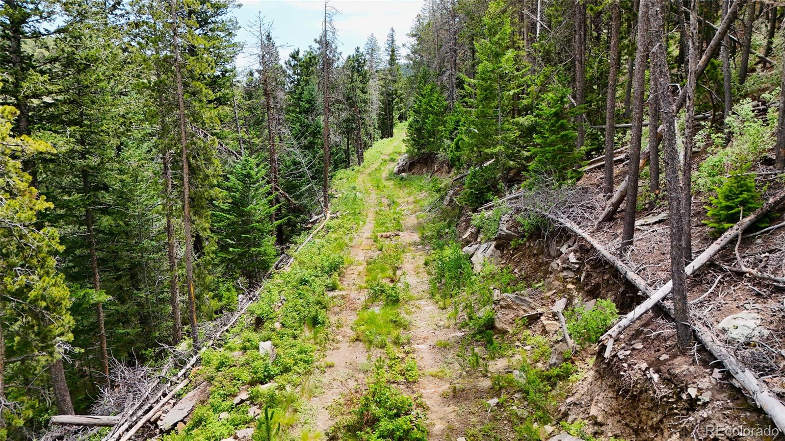 8077 Drew Hill Road Golden CO 80403