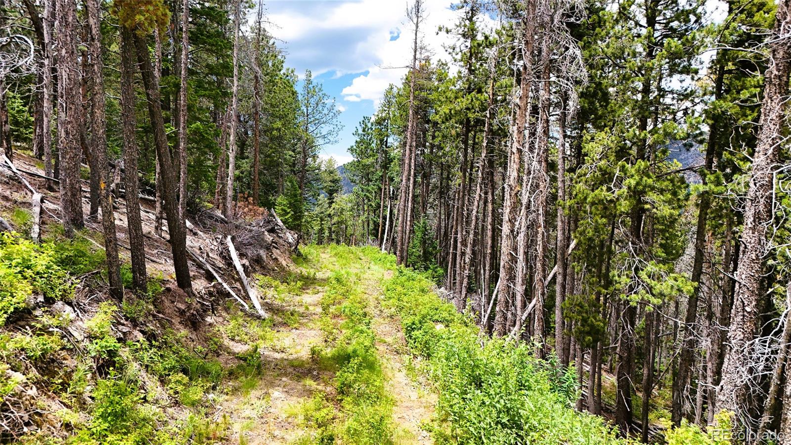8077 Drew Hill Road Golden CO 80403