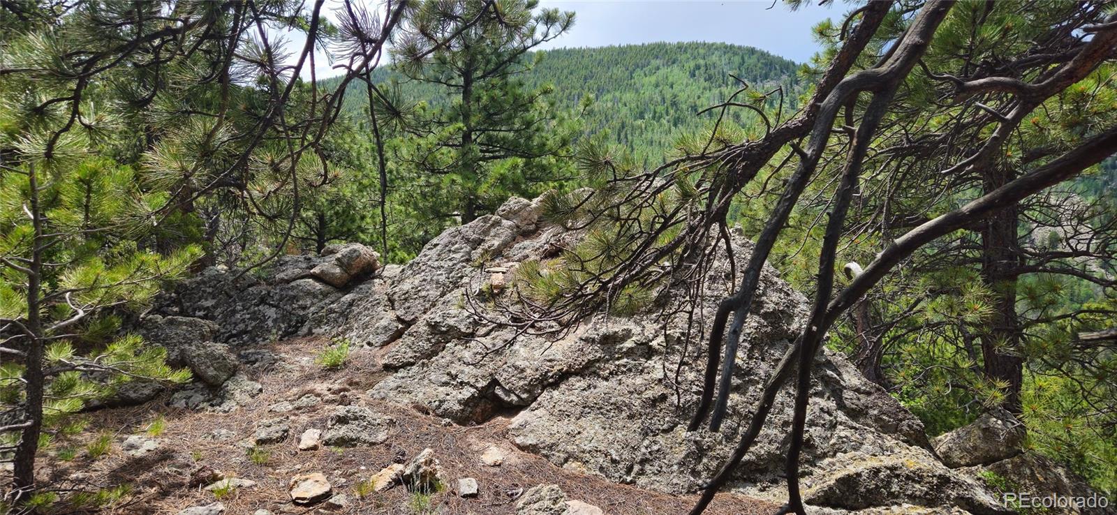 8077 Drew Hill Road Golden CO 80403