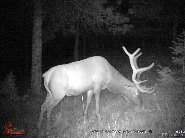8077 Drew Hill Road Golden CO 80403
